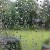 pluie