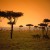 photo-afrique