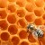 abeille_ruche