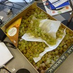 chasselas02