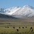 tibet(1)