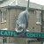 catford