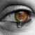 oeil
