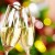 two wineglasses