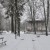 point-de-promeneurs-dans-le-jardin-public-de-rodez_506791_510x255