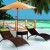 tahiti-transat-jardin_normal_58